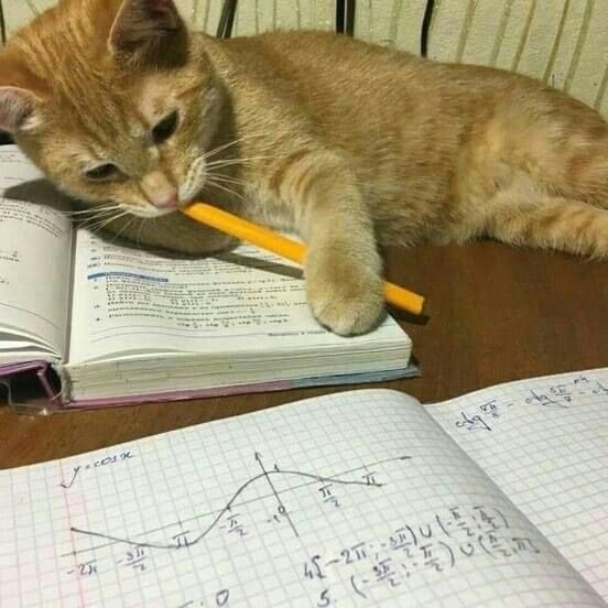 Meow | Learning mathematics | Facebook