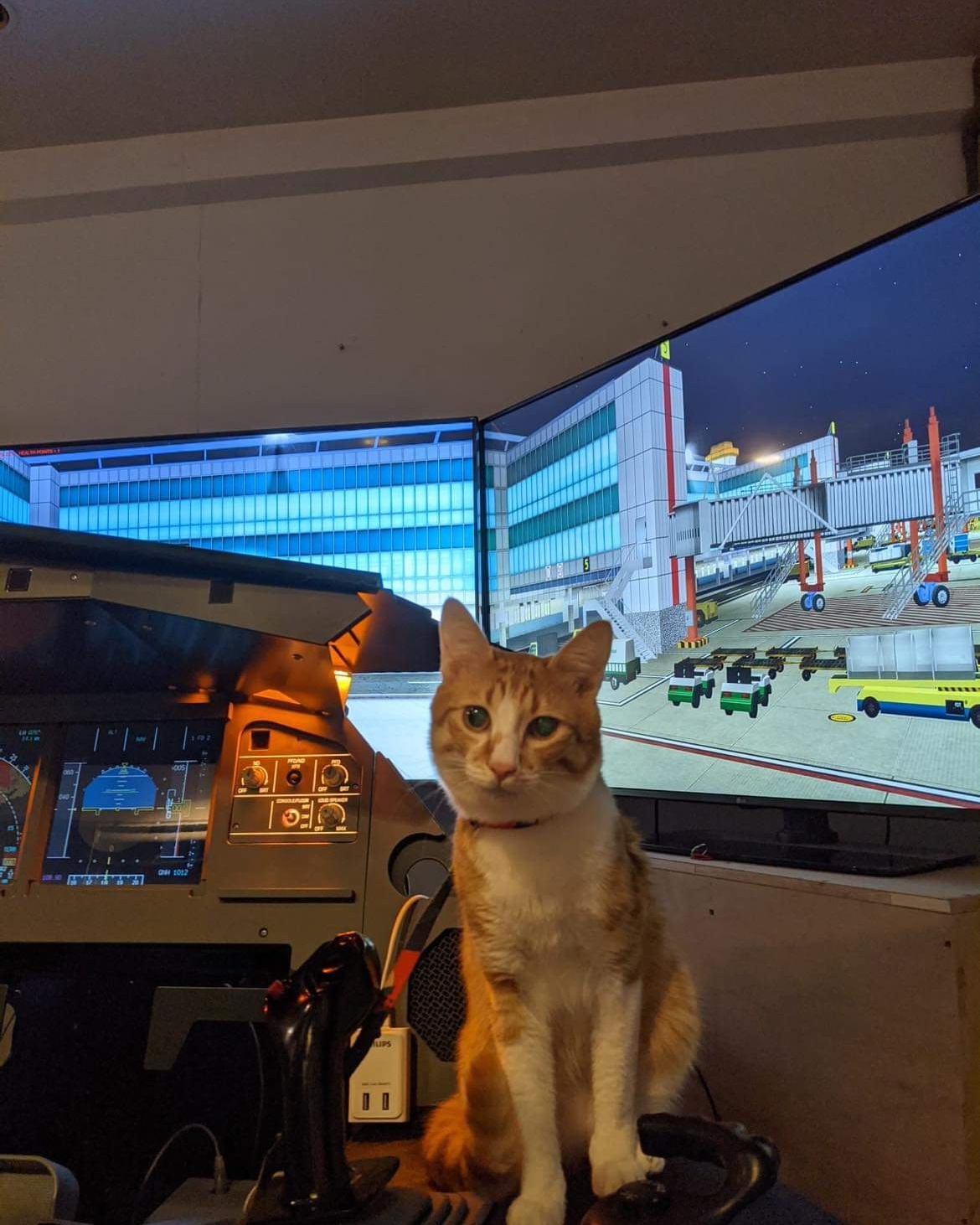 教官：今天CAT1喔？ 客人：我家還有一隻，下次可以做CAT2 教官表示：天氣好也能做CAT2的啦！！ 金胎哥是動物友善店家唷 歡迎帶毛小孩 ...