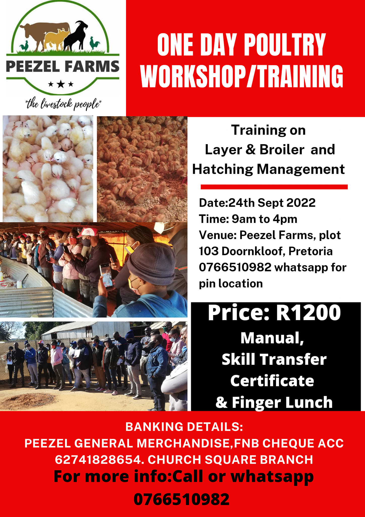 Our next training... - Peezel Farms 