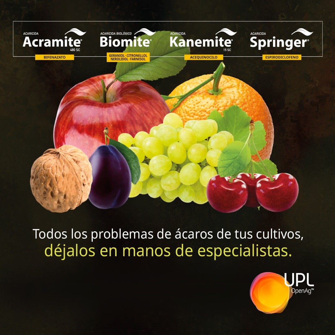 UPL Chile - Conoce el Programa UPL para un control...