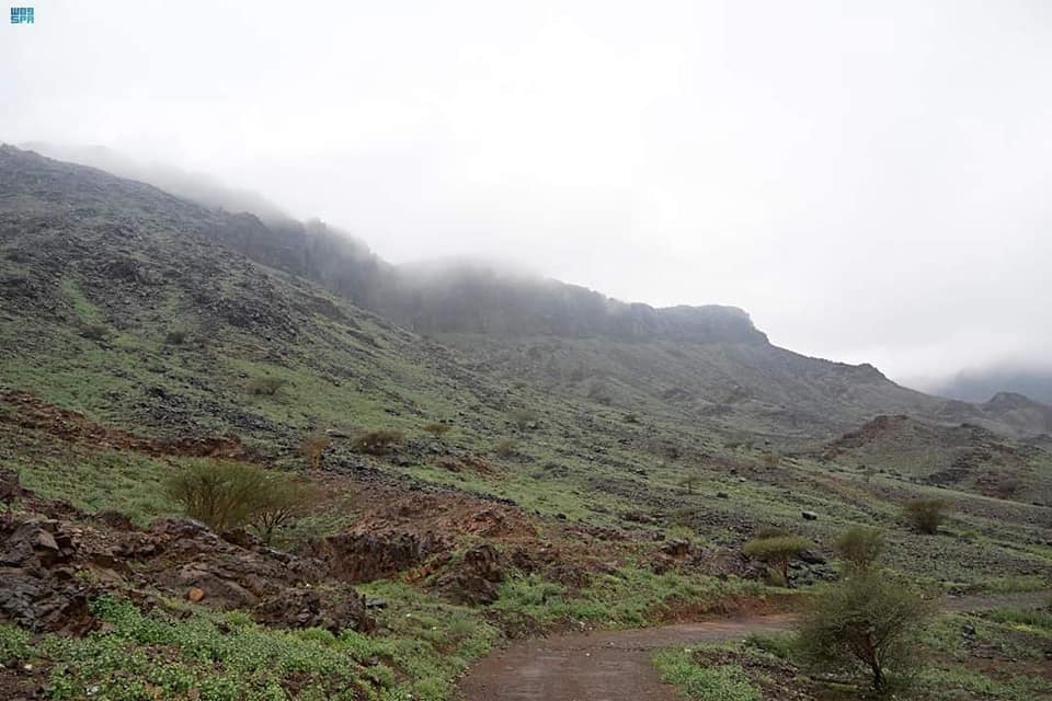 المنجل - ‎المنجل‎ added a new photo.