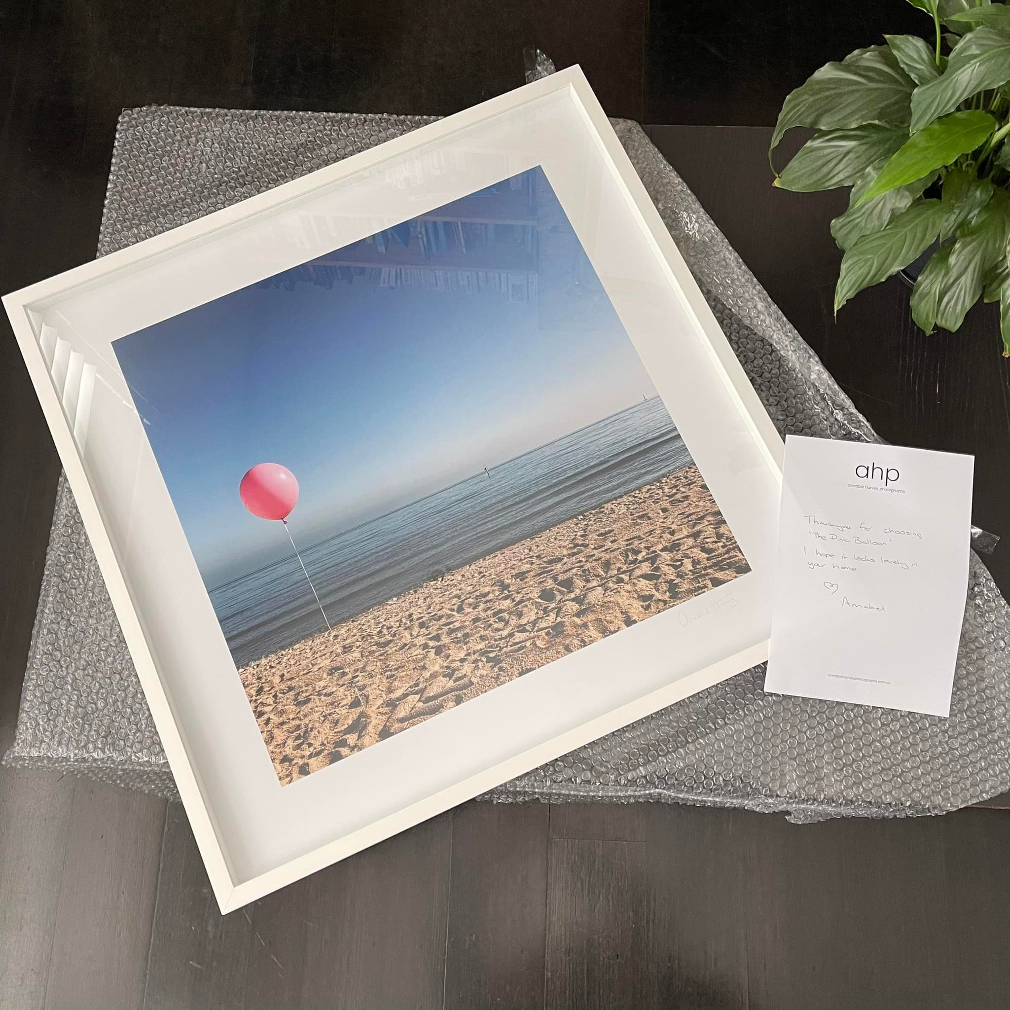 Annabel Harvey Photographs