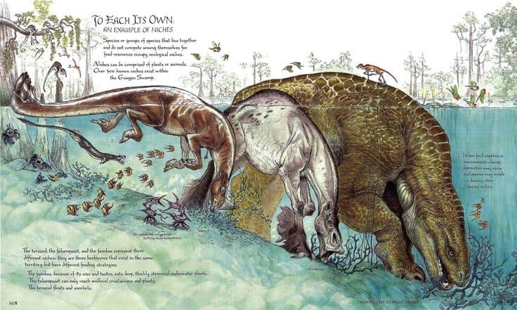 Star Wars creature design book