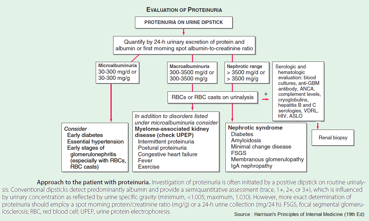 🔷 Approach to the patient with... - Manual of Medicine | Facebook