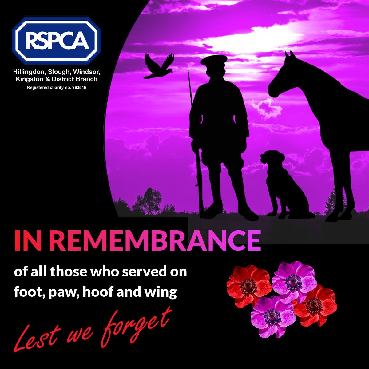 Remembering and honouring all the people and animals who served and ...