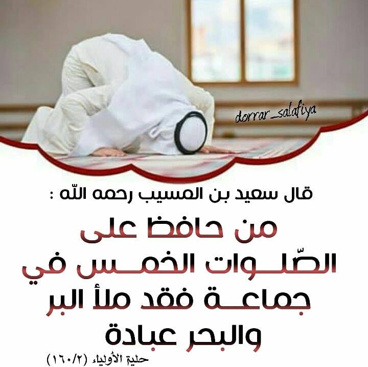 العلامة عبد الحميد بن باديس رحمه الله قال سعيد بن المسيب رحمه الله من حافظ على الص لـــوات الخمـــس في جماعـــة فقد ملأ البر والبحر عبادة حلية الأولياء ١٦٠ ٢ Facebook