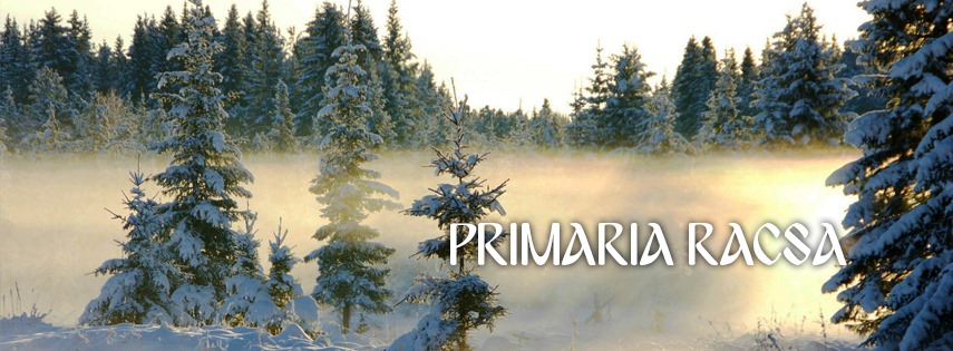 Scoala Gimnaziala RACSA added a... - Scoala Gimnaziala RACSA