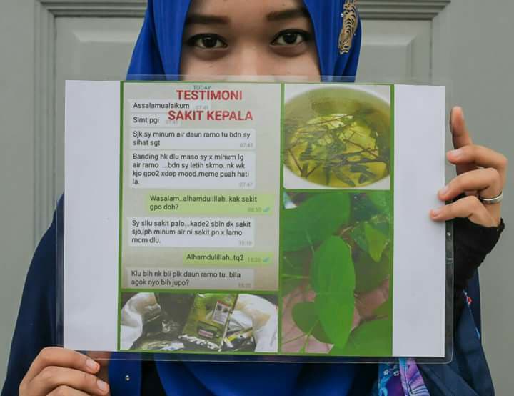 Daun Rerama Asli