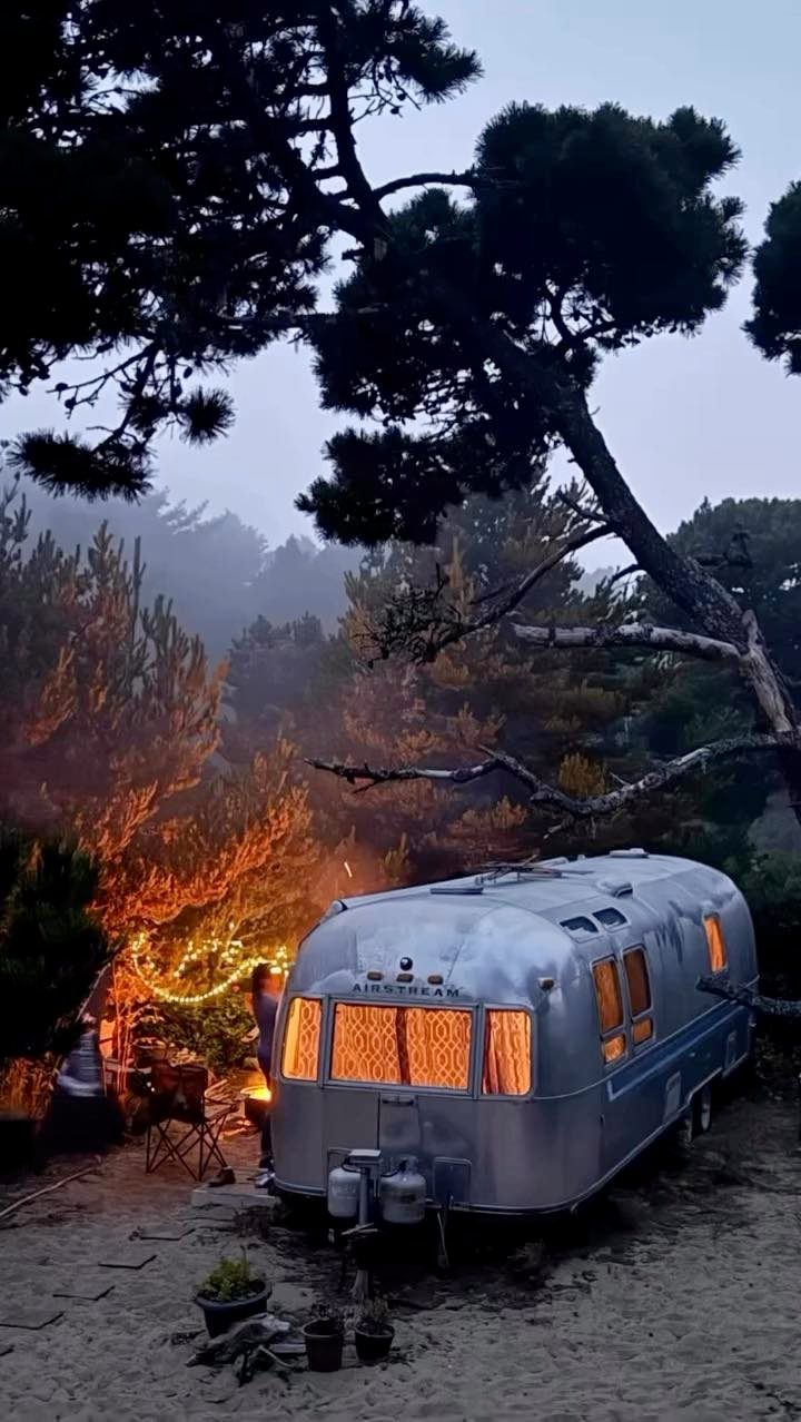 Exploding Whale Beach Camp - Fresh perch from the surf! 🐟🎣🐳🦀 | Facebook