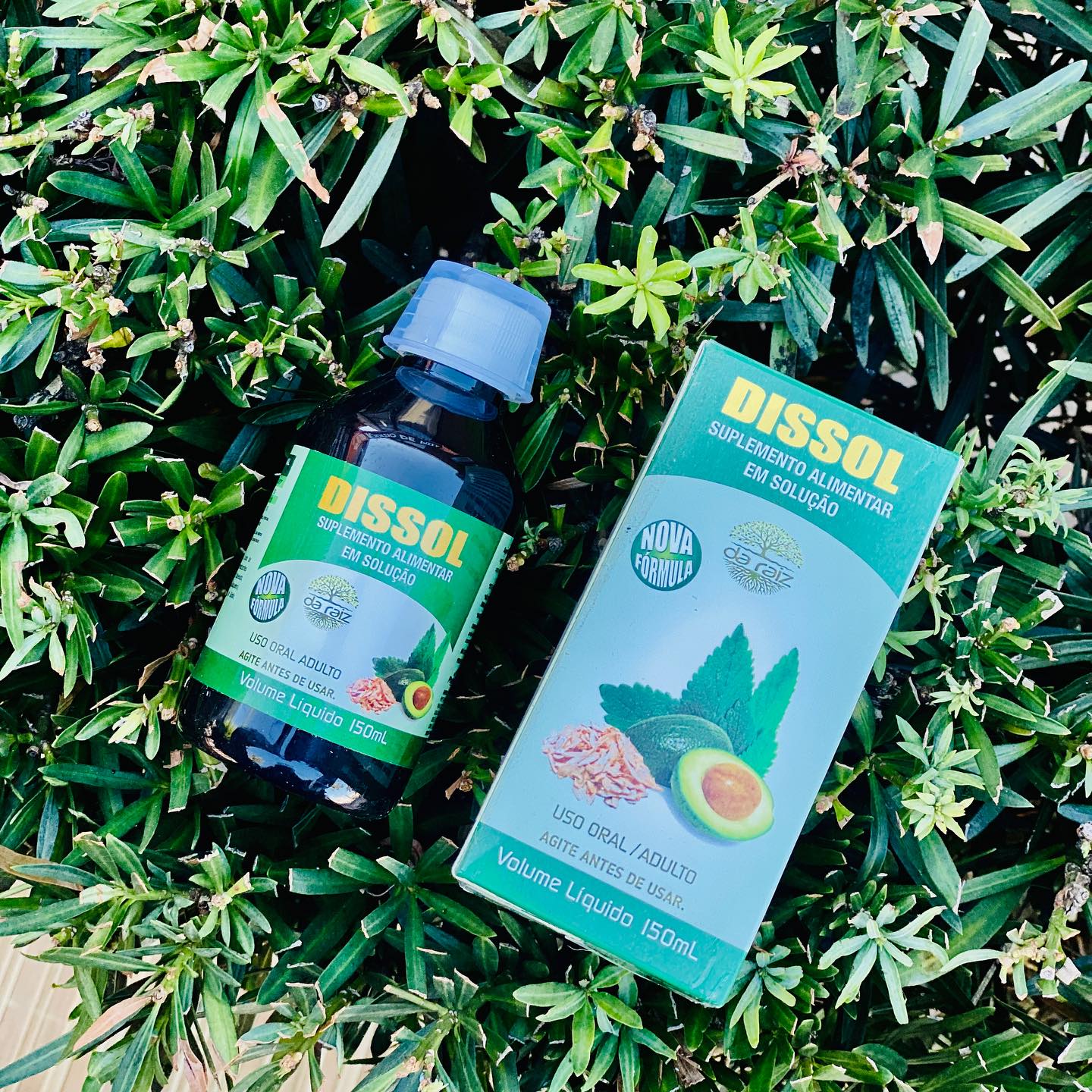 🌱 DISSOL para saúde dos rins... - Baru Mercado Natural