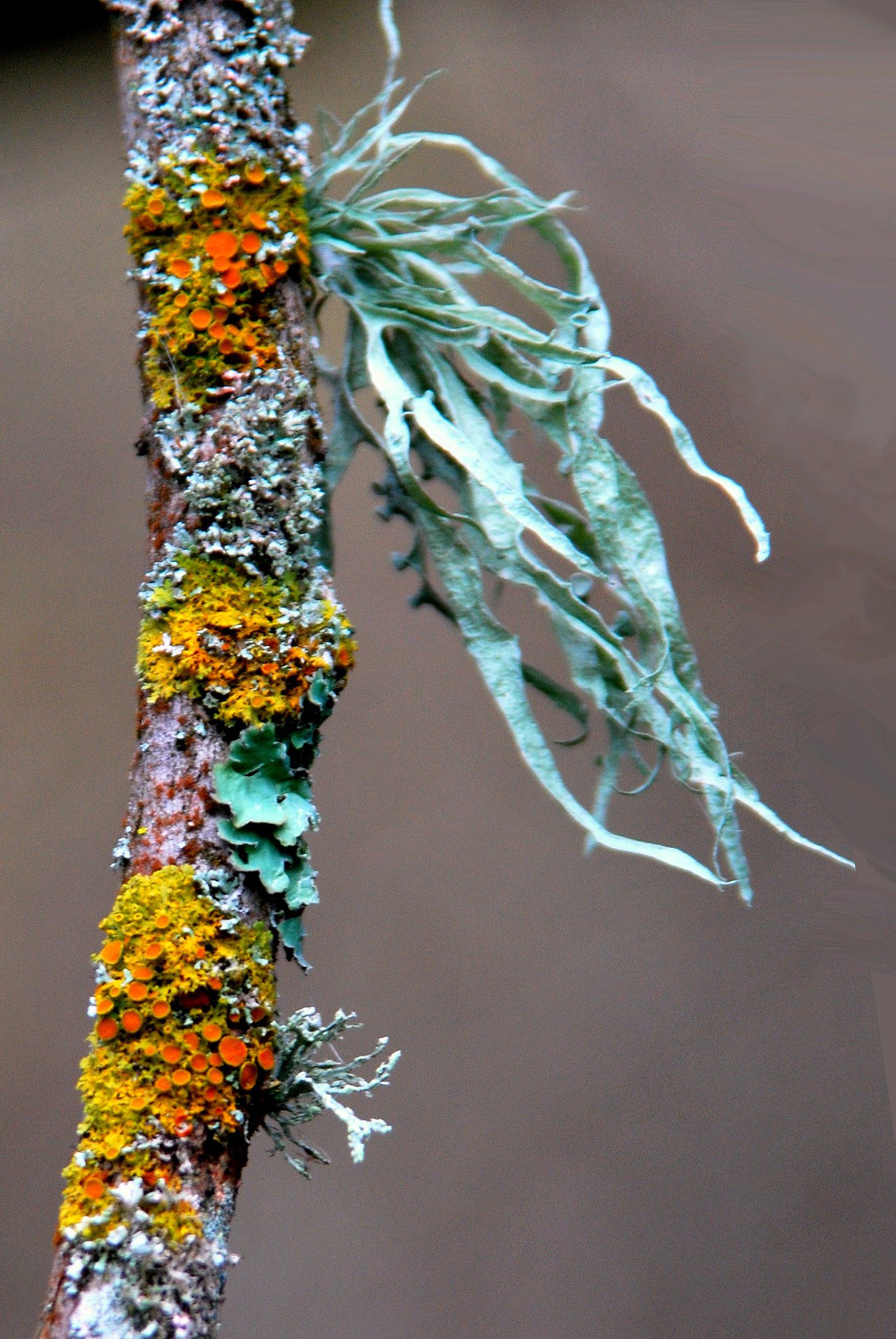 TreeSisters - The colours of nature are beyond our wildest dreams. 🍂🍃 ...