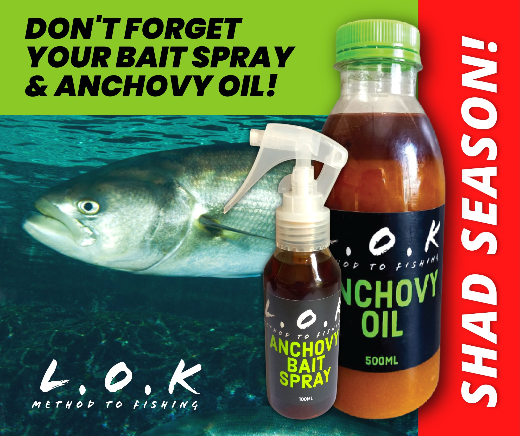 beat oil for fishing hooks Lucas Reel Oil speed bearings and between tight surfaces Pro-Cure 2 oz Bait Oil-