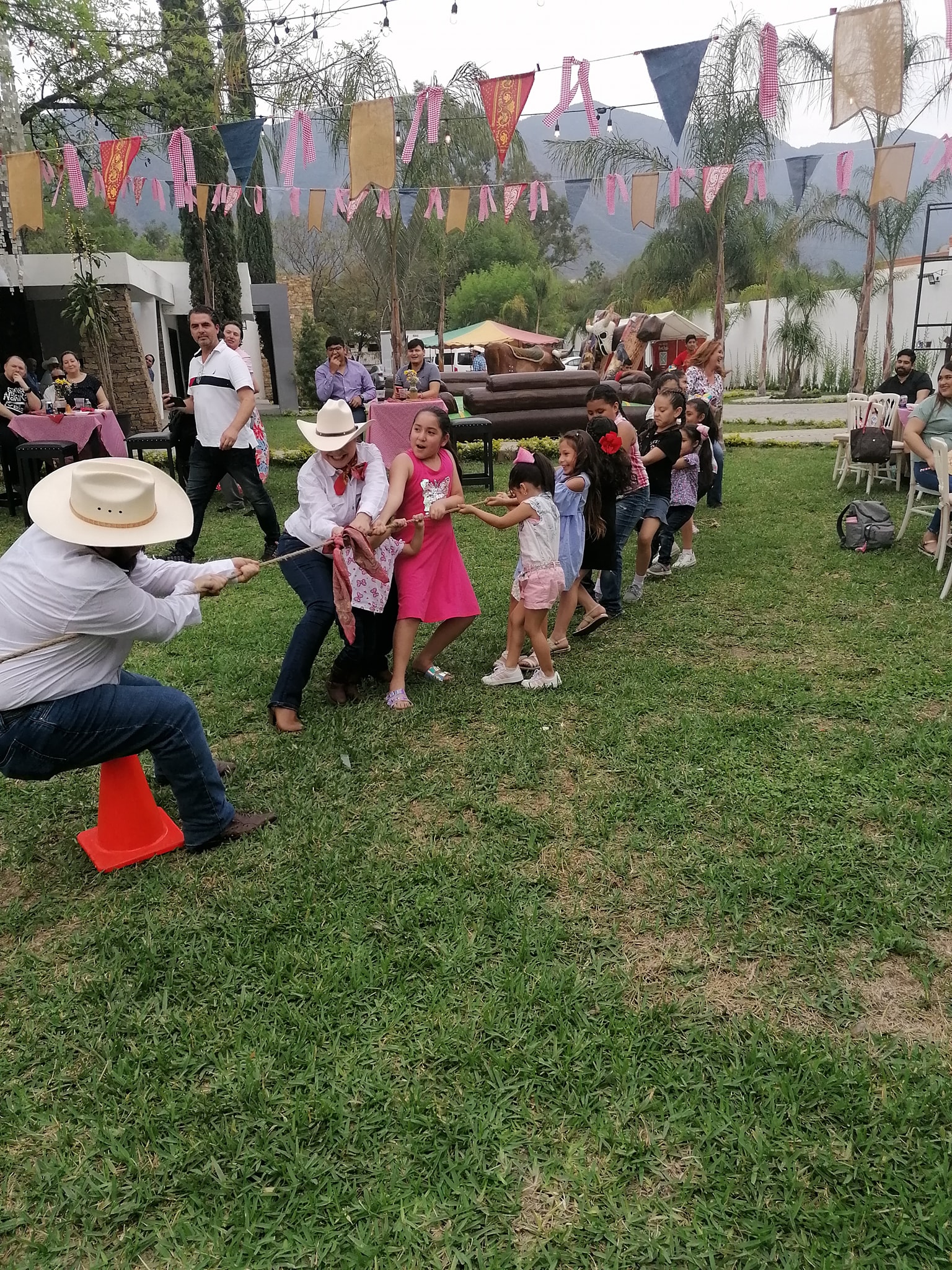 Ponys y mini rodeo fiesta regia