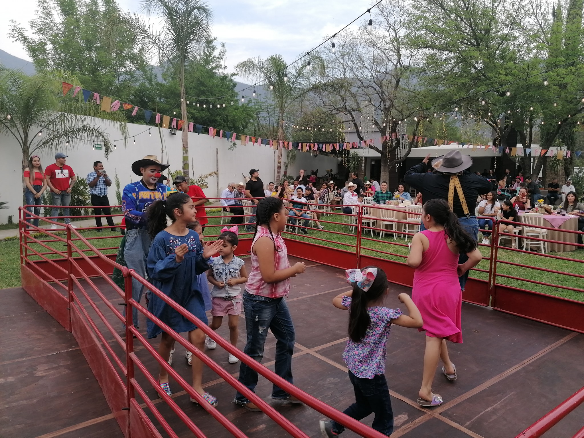 Ponys y mini rodeo fiesta regia