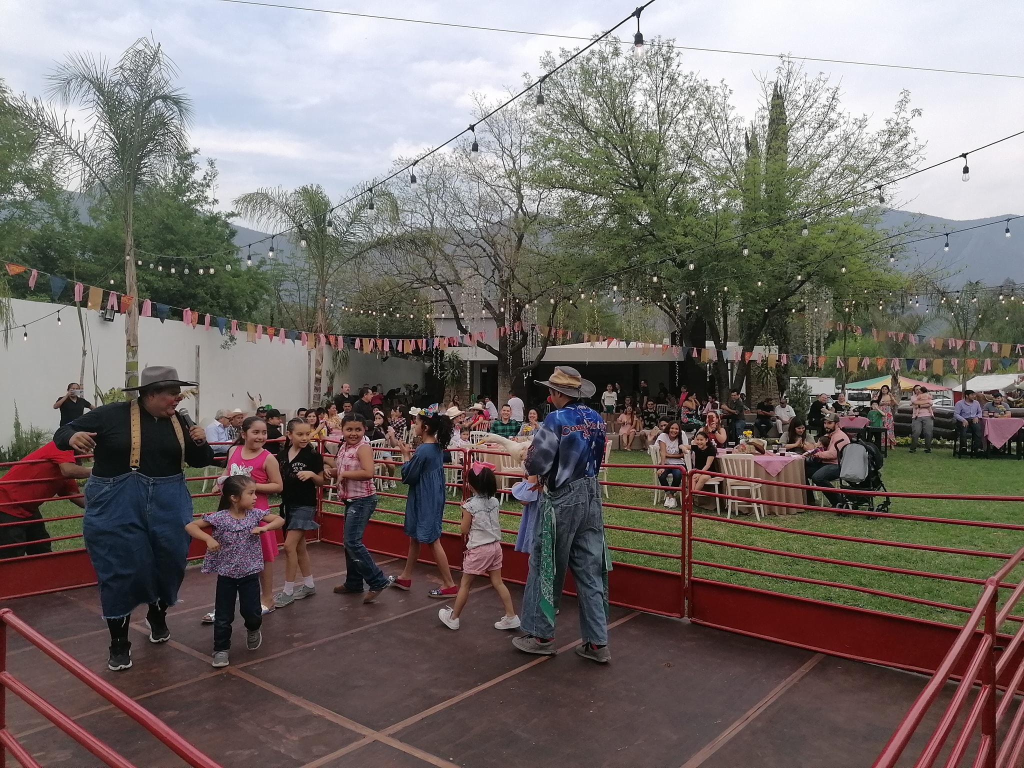 Ponys y mini rodeo fiesta regia