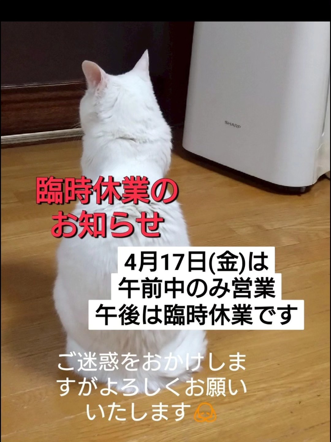 臨時休業のお知らせ 明日、4月17日(金) 都合により午後から臨時休業 