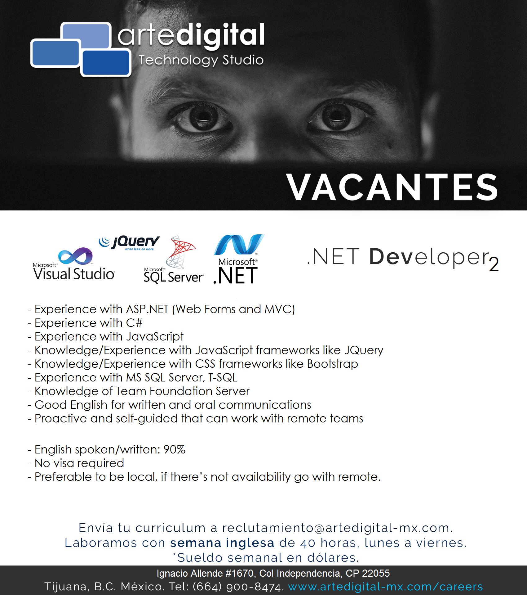 Bolsa De Trabajo Para Programadores