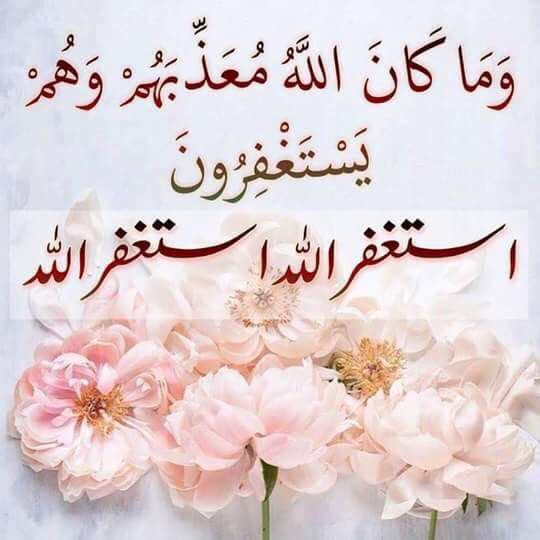 يا حبيبي يا محمد الهي ان كان الندم على الذنب توبه فاني وعزتك من النادمين وان كان الاستغفار من الخطيئة تكفير ا فان لك من المستغفرين فيسبوك