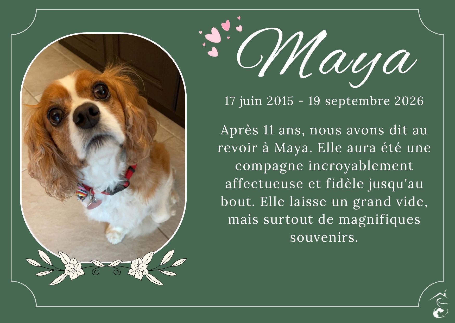 Maya 17 juin 2015 - 19 septembre 2026 Après 11 ans, nous avons dit