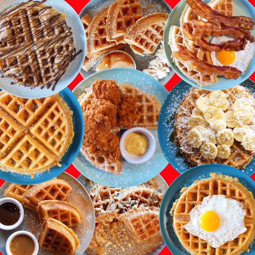 Waffle Monkey Bonita Beach | Bonita Springs FL