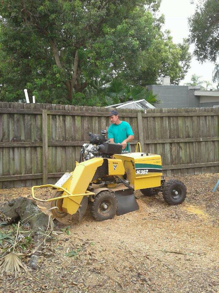 Joes Tree & Stump Service | Seminole FL