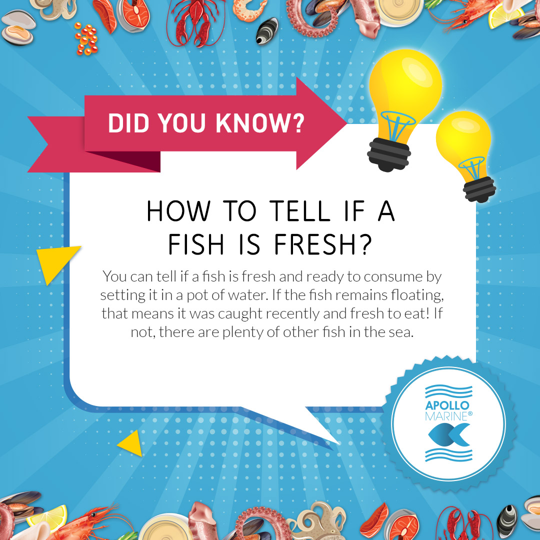 Here's a way to tell if a fish is... - Apollo Marine Seafood