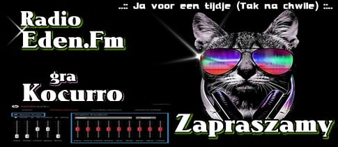 radio-zapraszamy-na-audycj-kocurro-god-23-00-strona