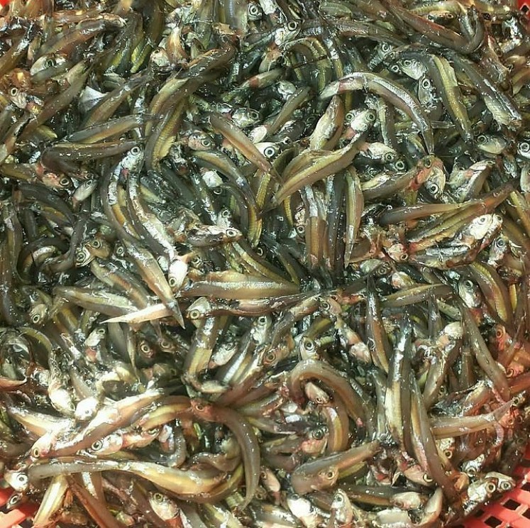 HOW TO MAKE BAGOONG ISDA WITH... - MB Sustainable Solutions | Facebook