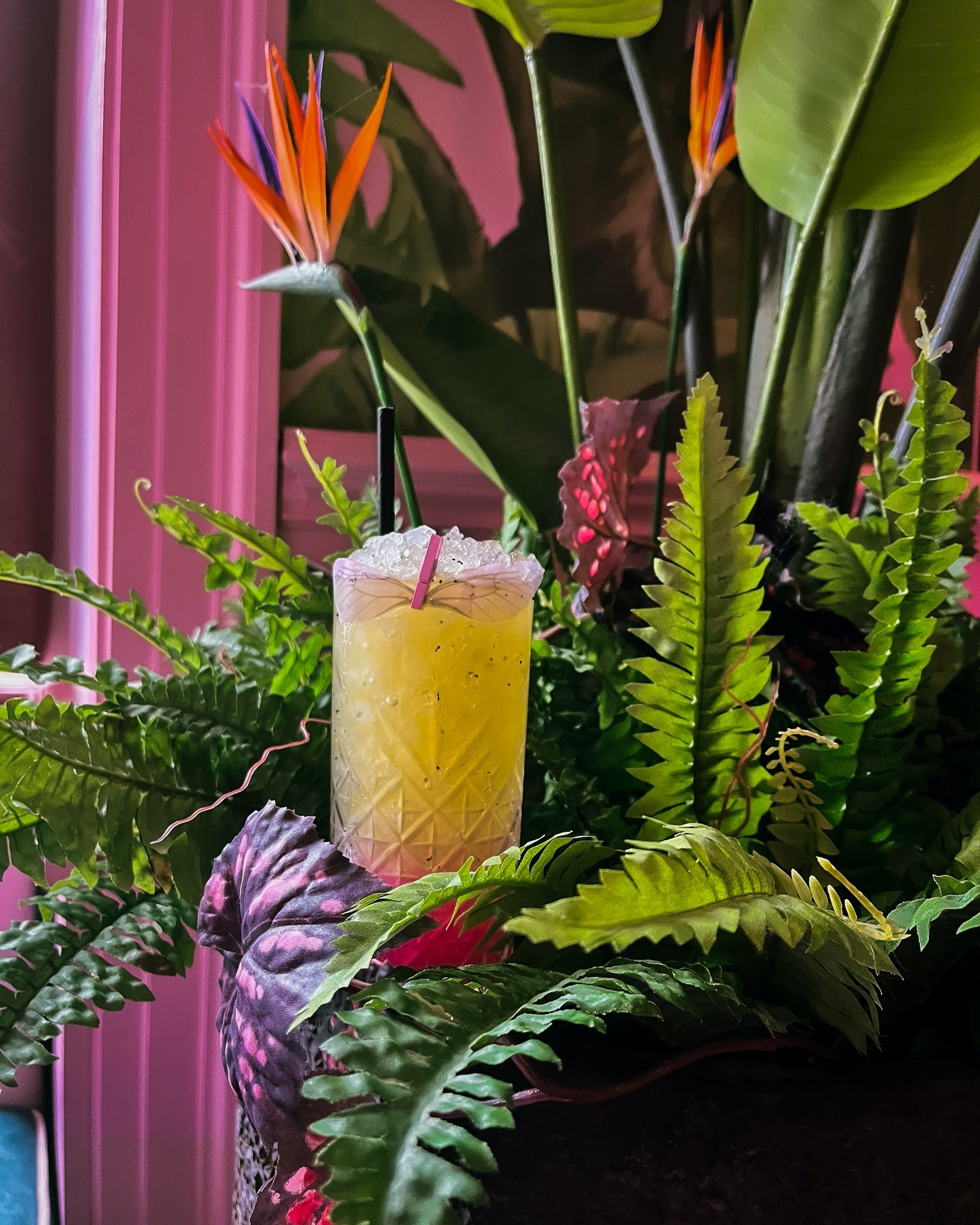 PINK - York - Our signature cocktail 