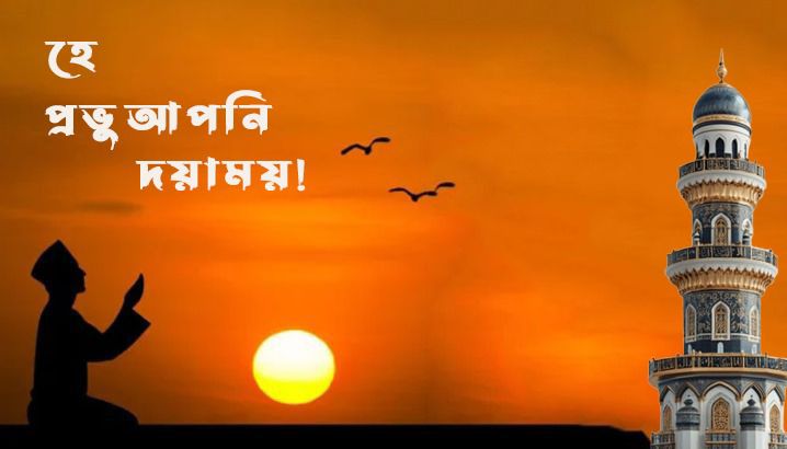 MD Siful Islam