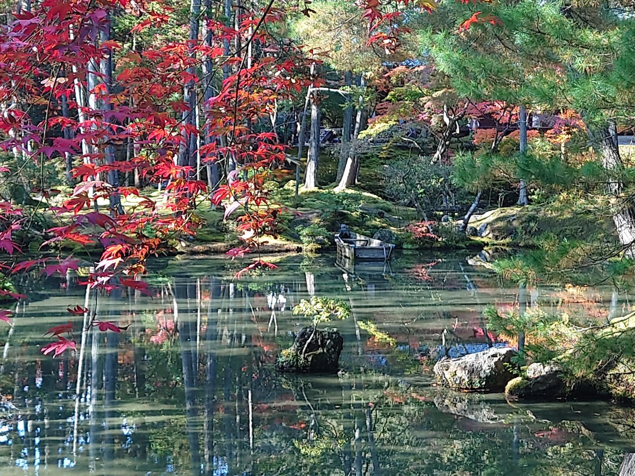 Kyoto Saihoji Moss Garden. 京都 嵐山 西芳寺(苔寺)