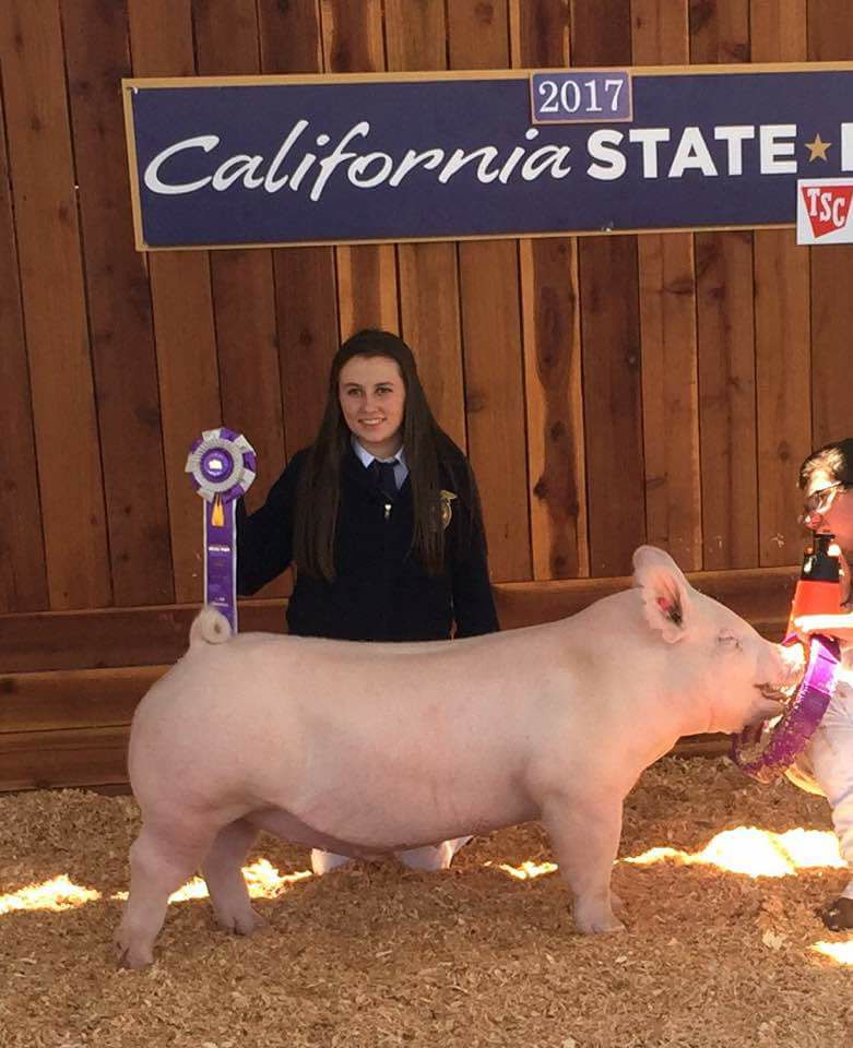 Show-Rite - Congratulations to ANOTHER Show-Rite fed...