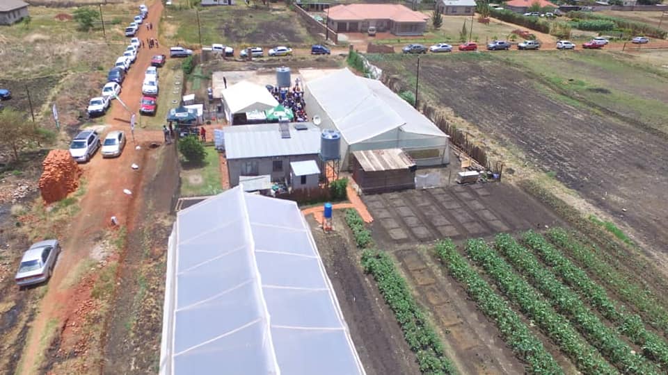 Greenhouses Zimbabwe Home Facebook