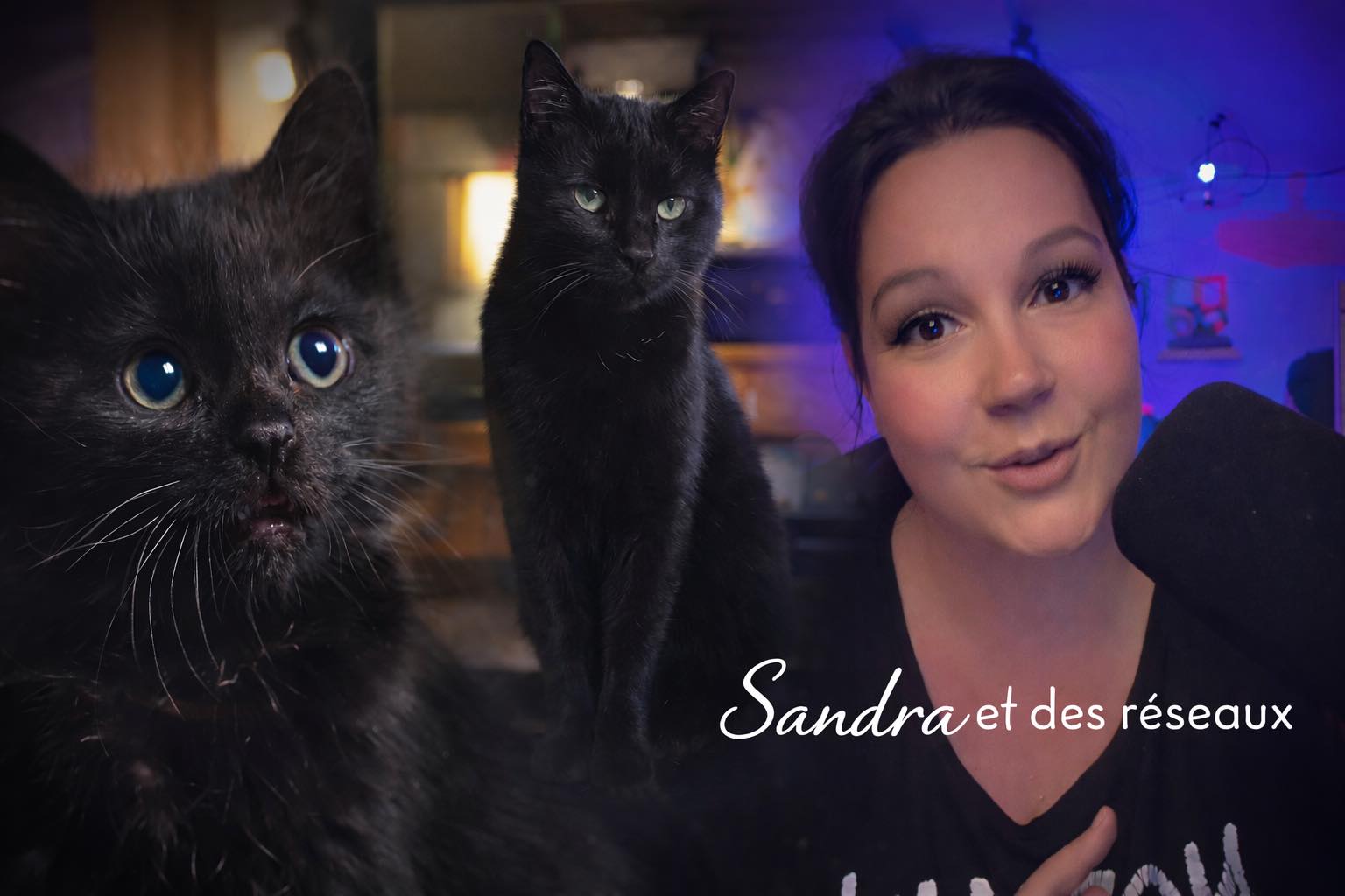 Sandra Le Blog
