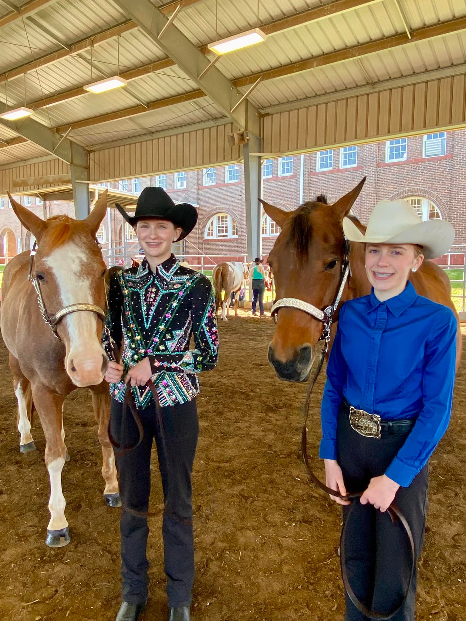 Hi-Point Performance Horses | Odessa MO