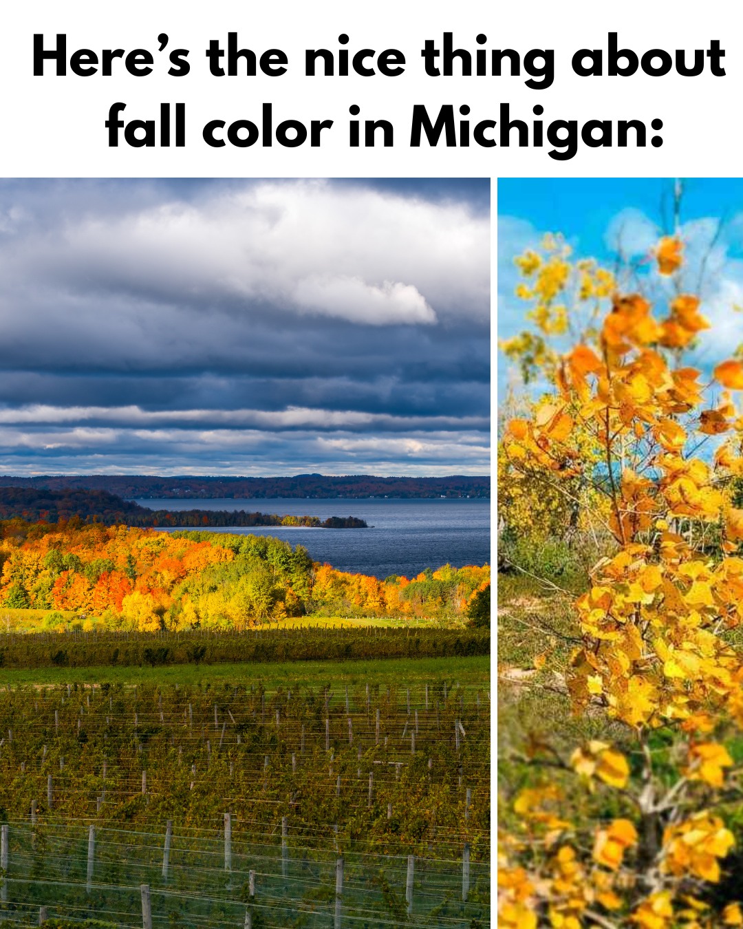 🍁 Fall colors are spreading across northern Michigan! Rebecca
