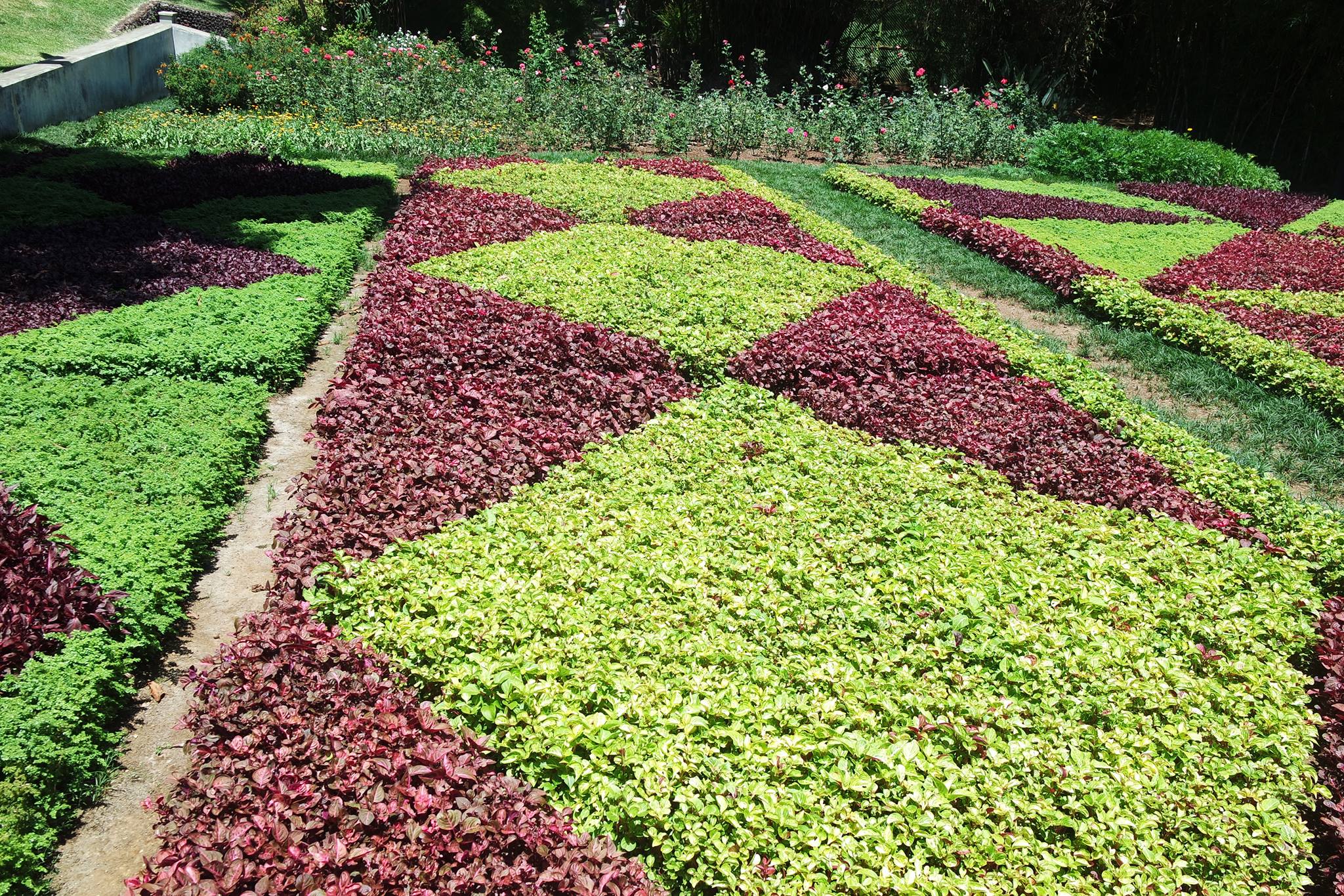 Norfolk Gardening Services Landscape Company King S Lynn Norfolk 5 Photos Facebook