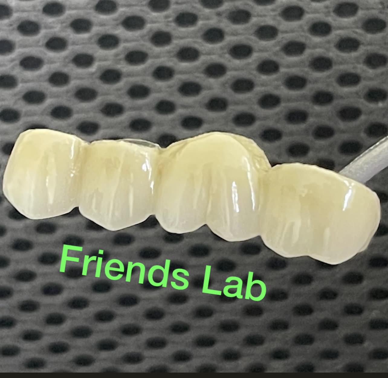 Friends Lab