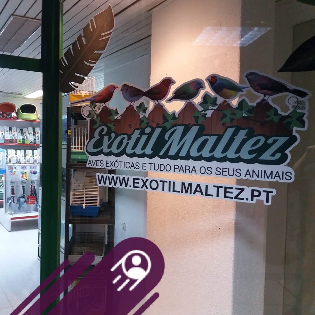 Exotil Maltez