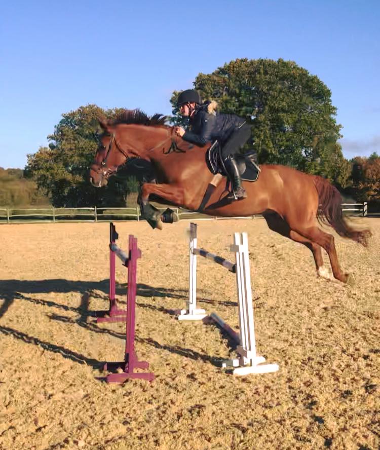 Alice Godfrey Equine - The difference in the way Joe rode & jumped ...