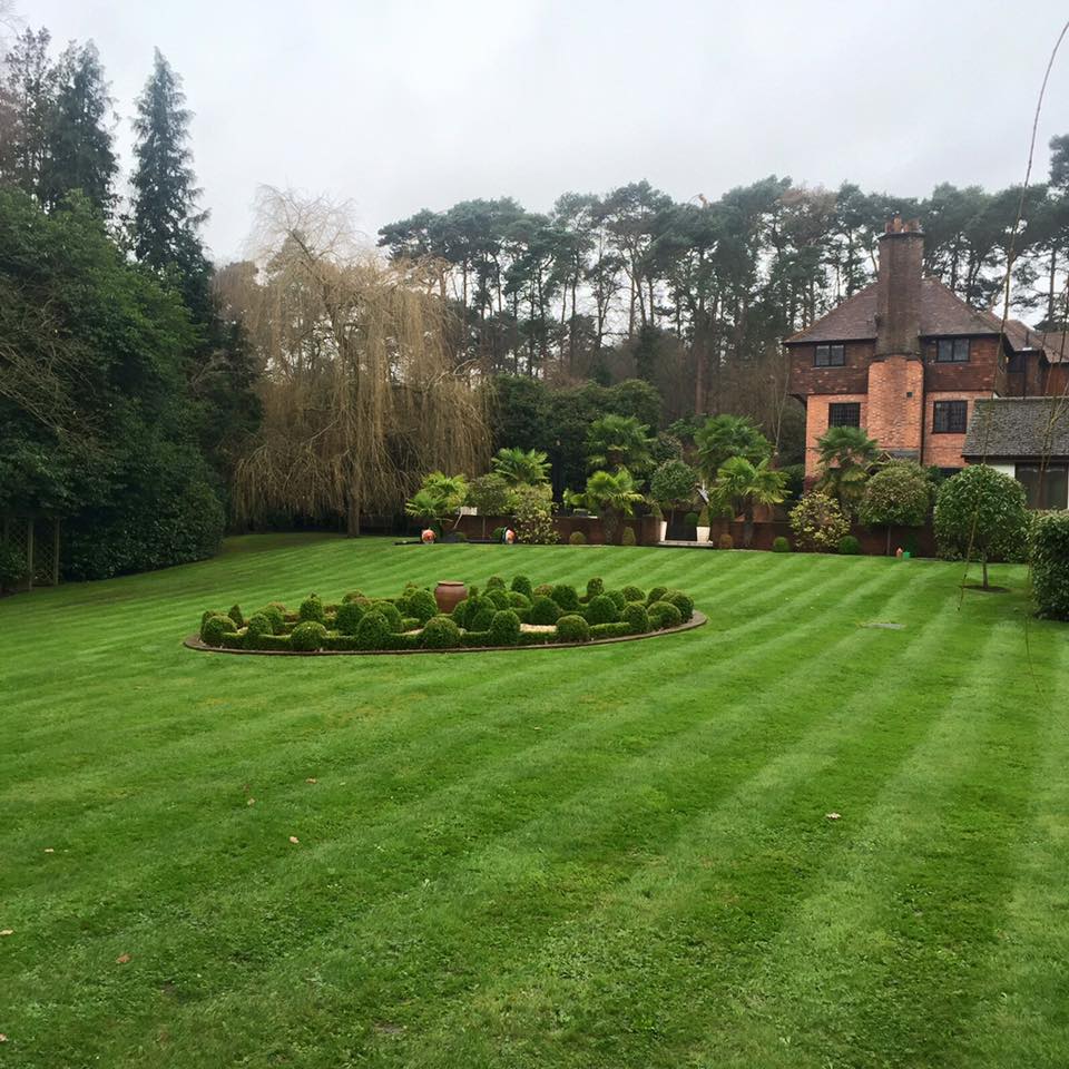 3J's Garden Maintenance & Landscaping | Woking