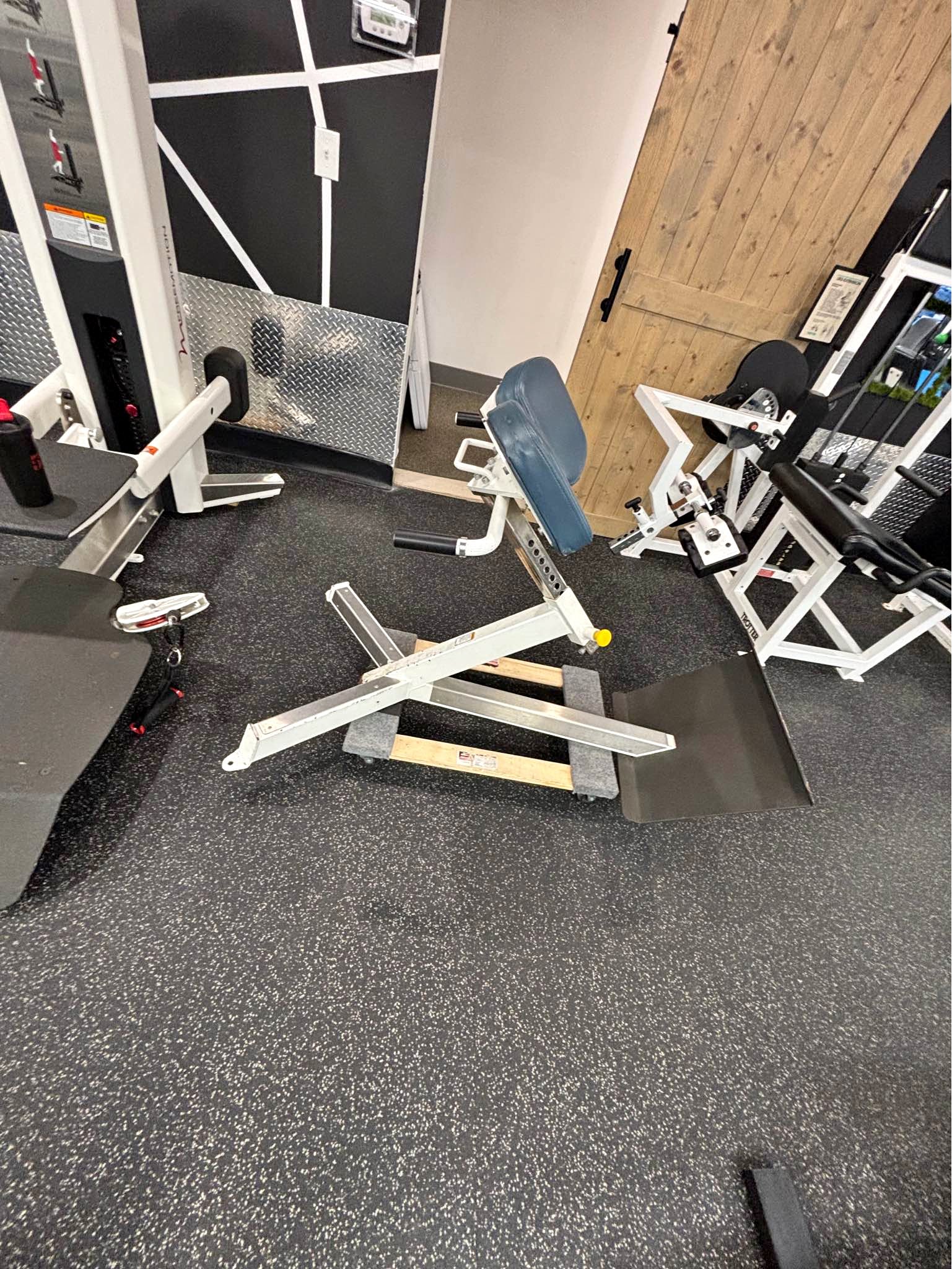 FreeMotion Commercial Back Extension / Hyperextension (Gym Quality ...