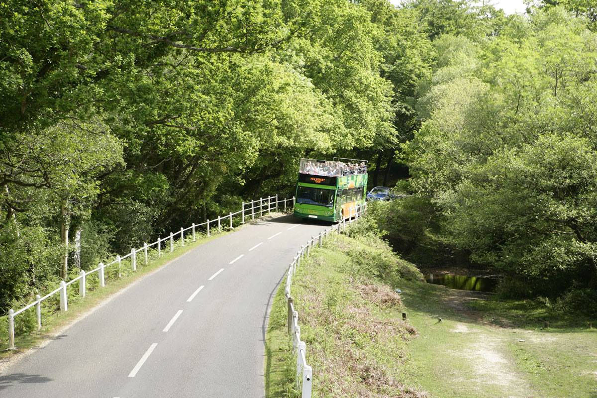 New Forest Hotels - This summer hop onto The New Forest Tour bus for an ...