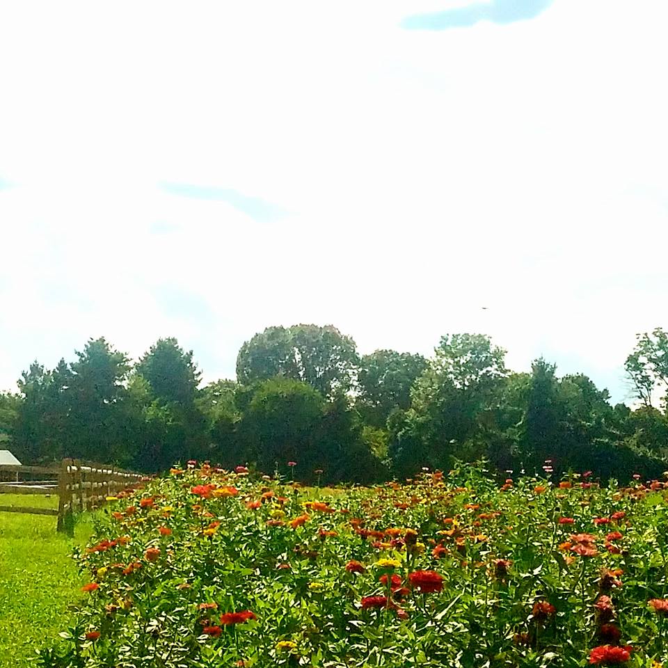 Maple Acres Farm Home Facebook