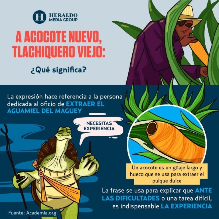 El origen de la frase 