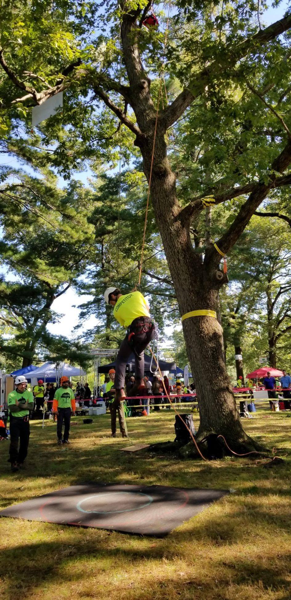 After a... - International Tree Climbing Championship (ITCC) | Facebook