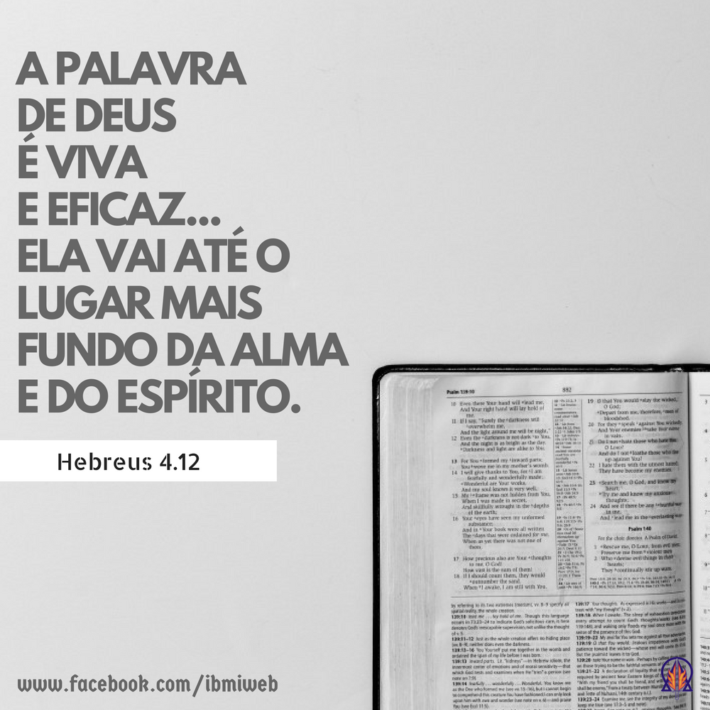 IBMI - O autor faz uma analogia: é como dividir juntas e medulas ...