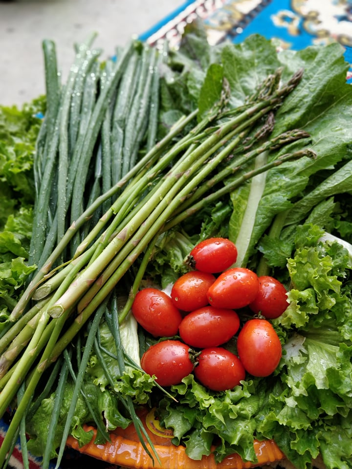 Timla Agro | Kathmandu