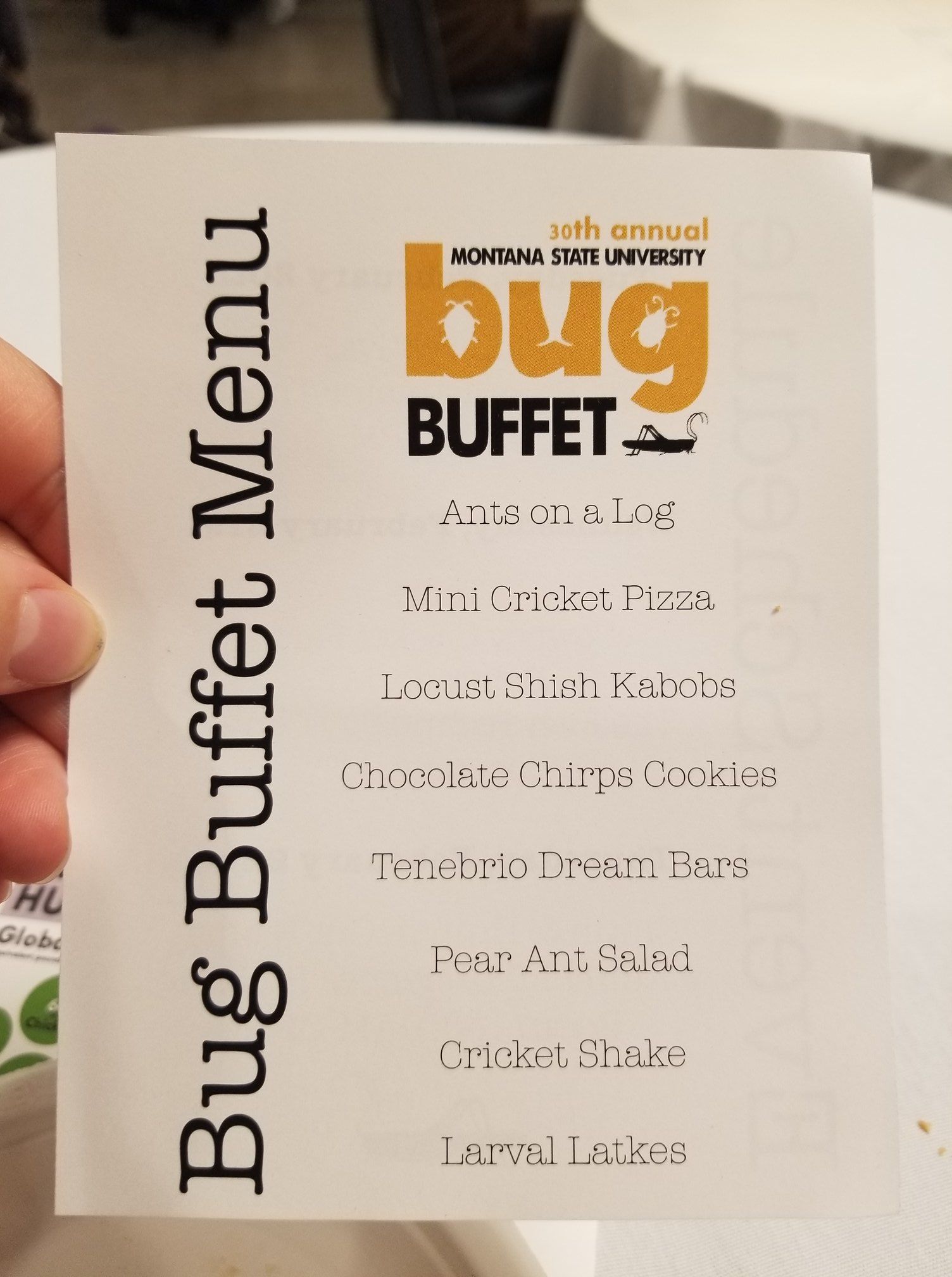 The Bug Buffet