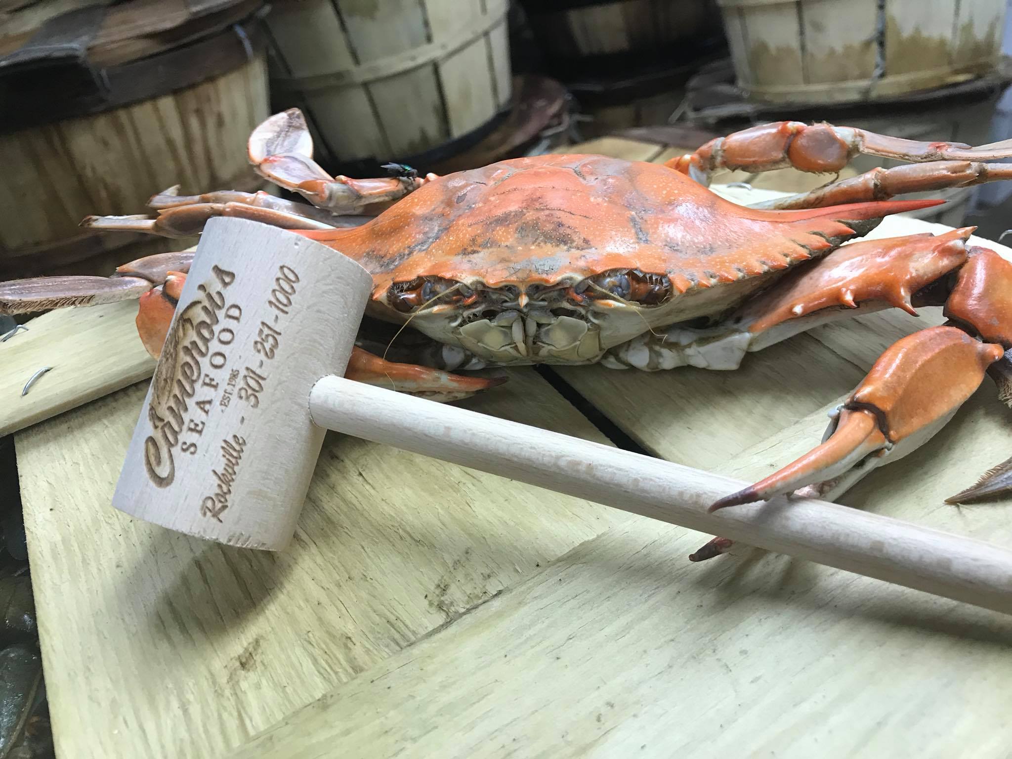 Cameron's Seafood Market - Home - Rockville, Maryland - Menu, Prices ...